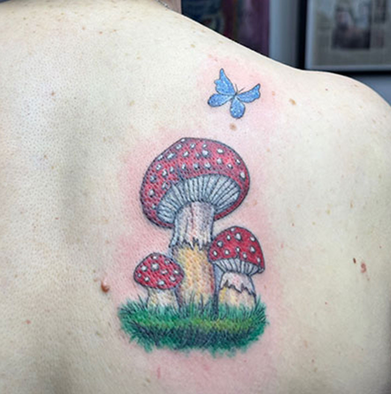 coverup03