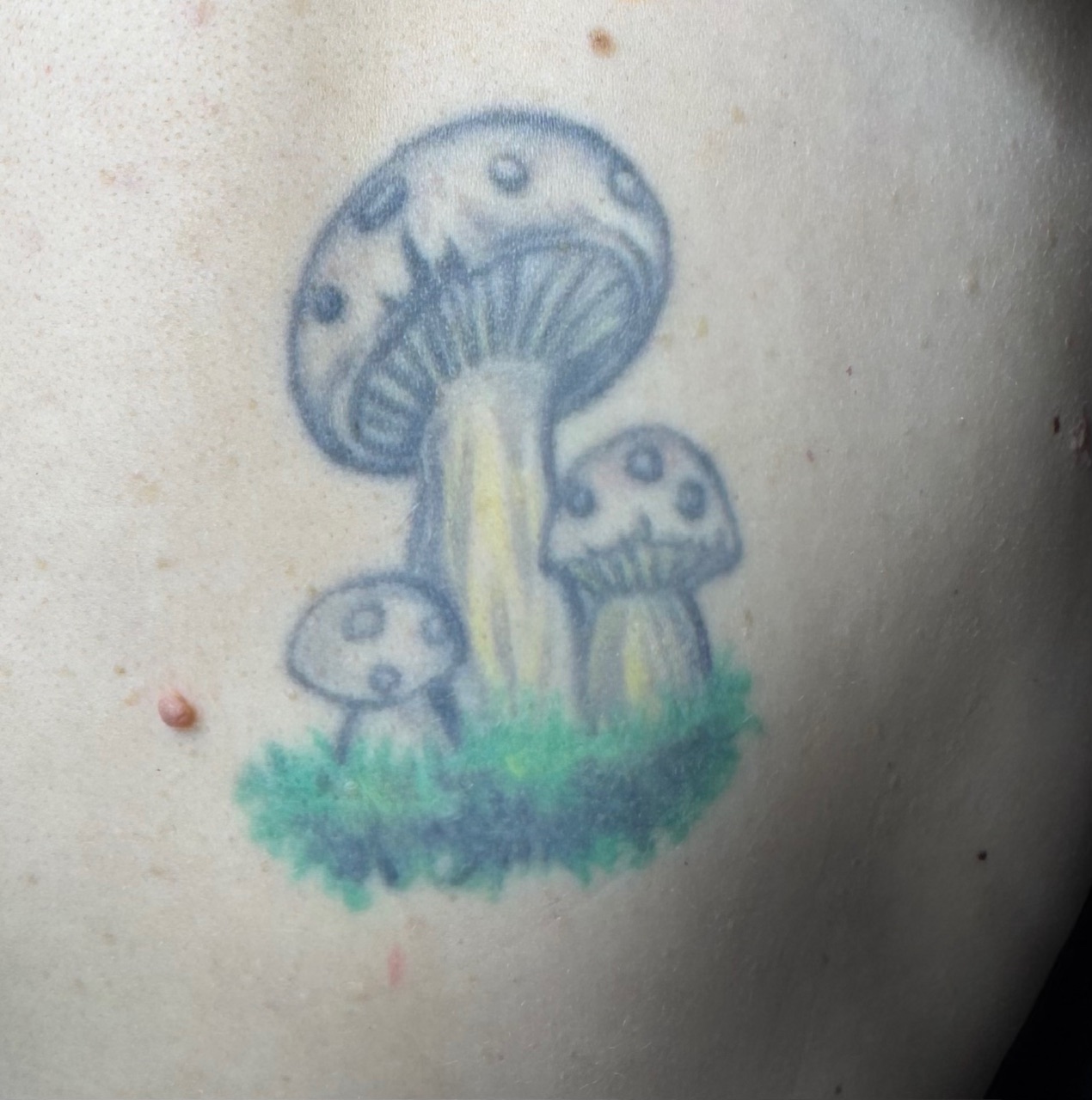 coverup03